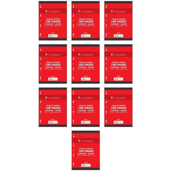 Feuillets mobiles 21x29 7 cm 100 pages grands carreaux jaunes 80g x 10 CONQUÉRANT