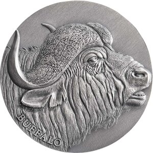 Pièce de monnaie en Argent 2000 Francs g 62.2 (2 oz) Millésime 2022 Expressions of Wildlife BUFFALO