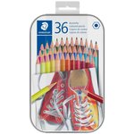 Etui Métal de 36 Crayon de couleur hexagonaux Sans Bois STAEDTLER