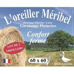 2 Oreillers MERIBEL Plumettes 60 x 60 cm
