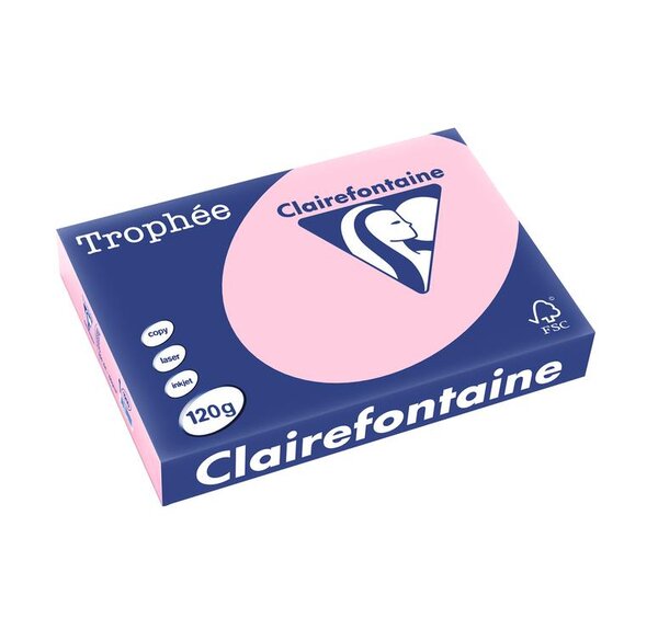 Ramette 250 Feuilles Papier 120g A4 210x297 mm Certifié FSC ROSE TROPHÉE