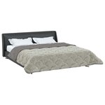 vidaXL Duvet d'hiver 200 x 240 cm Hiver Gris clair Respirant