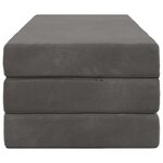 vidaXL Canapé-lit pliable 160 x 67 x 45 cm Gris foncé