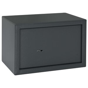 vidaXL Coffre-fort avec serrure à clé gris foncé 20x31x20 cm en acier