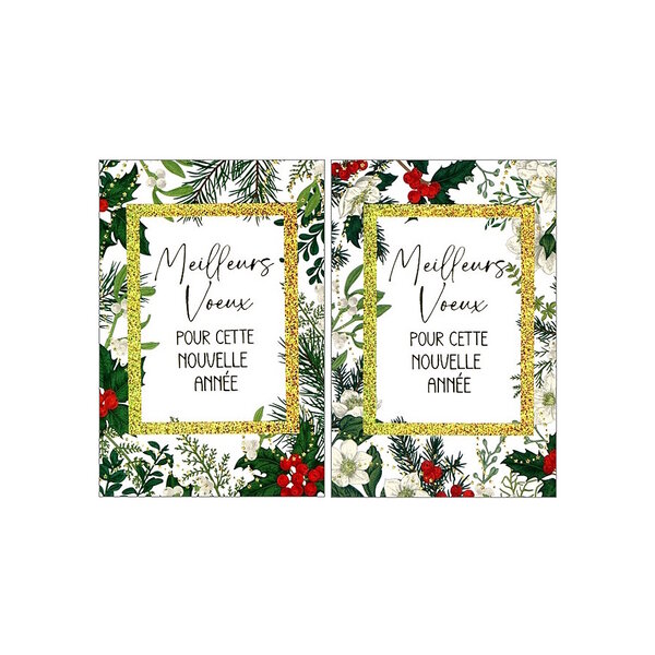 Carte De Voeux - Meilleurs Voeux Pour Cette Nouvelle Année  Visuel Aléatoire*