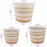 vidaXL Paniers à plantes en herbe de mer 3 Pièces Naturel  Blanc et Beige