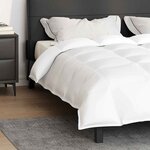 vidaXL Duvet 2-en-1 Blanc 200 x 200 cm Plume