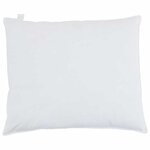 vidaXL Oreiller avec oreiller 2 Pièces Blanc 60 x 70 cm Plume