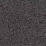 vidaXL Tapis Anthracite 80 x 150 cm Polyester