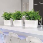 Lechuza jardinière de table delta 20 all-in-one blanc brillant 15560