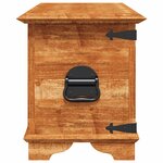 vidaXL Coffre de rangement Bois de manguier brut