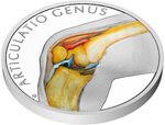 Pièce de monnaie en Argent 1 Dollar g 31.1 (1 oz) Millésime 2025 Human Body KNEE JOINT
