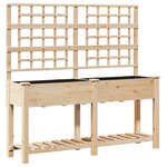 Jardinière vidaXL avec treillis et étagère 161x43x152 cm en bois massif de sapin
