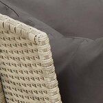 vidaXL Canapé de jardin et coussins gris clair résine tressée