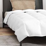 vidaXL Duvet d'été simple avec oreiller 2 Pièces Blanc Plume de canard