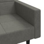 vidaXL Canapé-lit à 2 places avec deux oreillers Gris foncé Velours