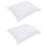 vidaXL Duvet d'hiver avec oreiller 3 Pièces Blanc 260 x 220 cm Microfibre