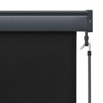 vidaXL Store roulant d'extérieur 60 x 250 cm Anthracite