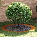 vidaXL Anneaux d'arbre plats 5 Pièces Marron Ø90 / 120 cm