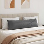 vidaXL Coussins de canapé 2 Pièces Gris foncé 145 x 40 cm tissu