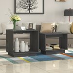 vidaXL Tables basses gigognes 2 Pièces Gris Bois de pin massif