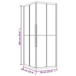 vidaXL Cabine de douche ESG dépoli 90x70x180 cm