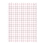 Manifold quadrillé 5x5 29,7x21cm 50 feuillets tripli autocopiants EXACOMPTA