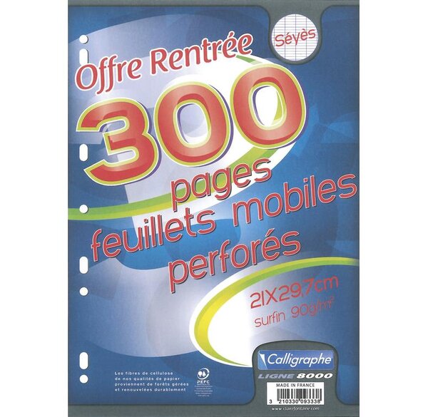 Feuillet Mobile 21x29,7 cm 300 pages Perforées Seyès s/film CALLIGRAPHE