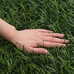vidaXL Clôture Artificielle Vert clair 1 x 10 m PVC et Acier