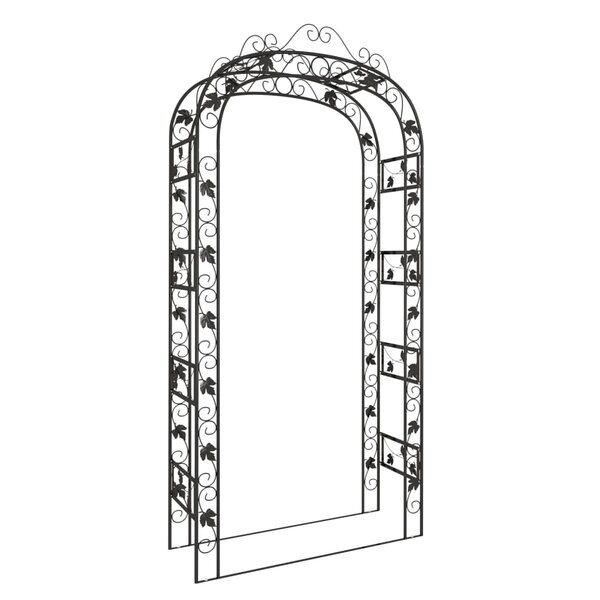vidaXL Arche de jardin Noir 116x45x240 cm Acier