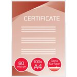 Lot de 100 pochettes de plastification A4 brillant 2x80 microns GBC