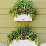 LECHUZA Jardinière BALCONERA Cottage 80 ALL-IN-ONE Blanc