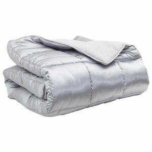 vidaXL Duvet d'hiver Argenté 200 x 140 cm Satin et Microfibre