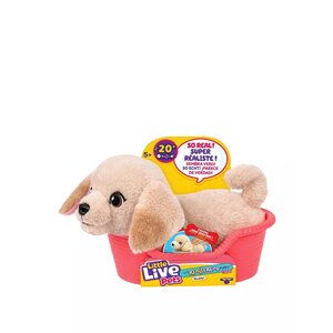 Moose Toys 26650 - Little Live Pets Buddy le labrador