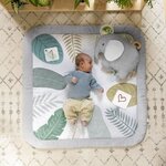 Tapis d'éveil évolutif Sprout Spot  12 cartes évolutives et 5 jouets détachables