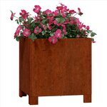 vidaXL Jardinière avec pieds Rouillé 30x30x30 cm Acier corten