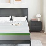 vidaXL Surmatelas Blanc et vert 160 x 200 cm Tissu Jacquard