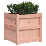 vidaXL Jardinières 2 Pièces bois massif douglas