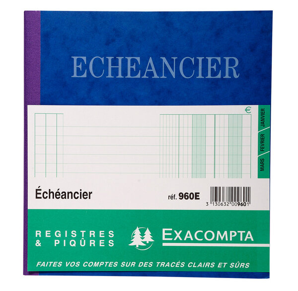 Piqûre 21x19cm échéancier tracé journal 80 pages EXACOMPTA