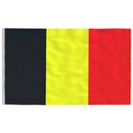 vidaXL Drapeau de la Belgique et mât 5 55 m Aluminium