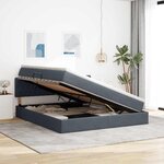 vidaXL Lit avec rangement et LED Gris foncé 180 x 200 cm Velours