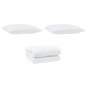 vidaXL Duvet d'hiver avec oreiller 3 Pièces Blanc 200 x 220 cm Microfibre