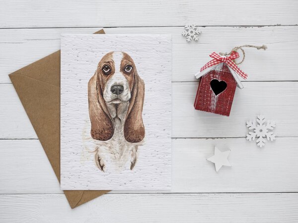 Carte à planter nos amis les chiens
