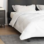vidaXL Duvet d'été simple Blanc 220 x 135 x 3 cm Polyester