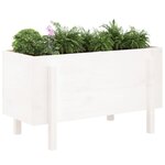 vidaXL Lit surélevé de jardin blanc 101x50x57 cm bois de pin massif