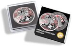 Pièce de monnaie en Argent 10 Yuan g 30 Millésime 2025 PANDA