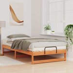 vidaXL Cadre de lit Marron 100 x 200 cm Pin massif