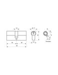 THIRARD - Cylindre de serrure double entrée HG5  anti-arrachement  30x30mm  nickelé  3 clés
