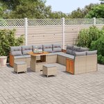 vidaXL Ensemble de canapé de jardin 13 Pièces Beige et Gris clair