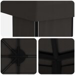 vidaXL Abri de jardin 6 x 3 m Anthracite Polyester et Acier 190